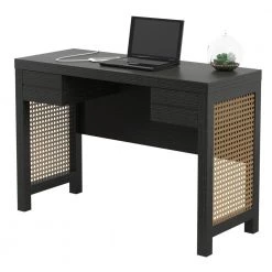 44.25 in. Rectangular Black Computer Desk with USB Charging Ports by Twin Star Home -Twin Star Home Sales Store black twin star home writing desks odp008 pb86 fa 1000
