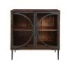 Cadence Nut Brown and Black 2-Door Cabinet with Glass Doors by COAST TO COAST
