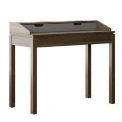 40 in. Rectangular Plainview Walnut Wood 1-Shelf Writing Desk with USB Charging Ports by Twin Star Home -Twin Star Home Sales Store plainview walnut twin star home writing desks odp706 tpw31 40 1000