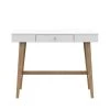 40 in. Rectangular White Wood 1 Drawer Writing Desk with USB Charging Ports by Twin Star Home
